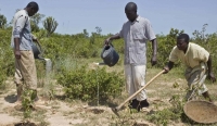 Carbon markets will be a disaster for Africa