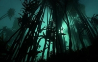 National Marine Week highlights our oceans' plight