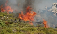 Fynbos fire project gets underway