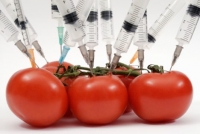 GM food is a commercial flop in Europe