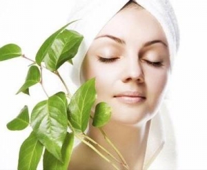 eco cosmetics save the earth and your health
