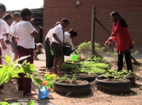 One educator can make the difference 