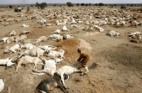 Fallen civilizations linked to climate change