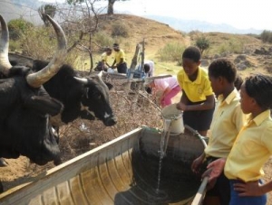 World Water Monitoring Day in Sekhukhune