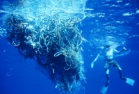 Setting sail for the plastic seas