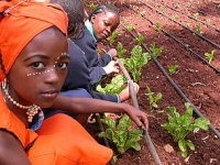 Job Vacancy: Graduate Development Programme Co-ordinator