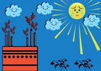 The five stages of environmental grief