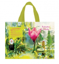 Raising millions with reusable bags 