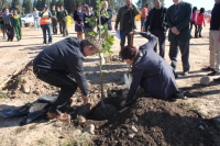 4000 trees for a greener planet
