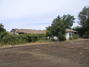 Farmers in Chile to teach the region agroecology