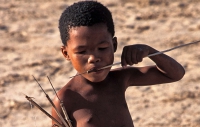 Call for boycott over Botswana Bushmen