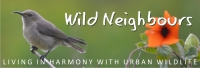 Wild Neighbours