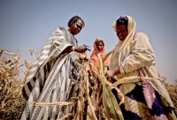UNESCO publishes climate change guidebook for journalists
