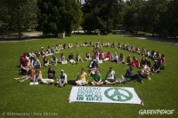 Gezi Park: a historic defence of democracy