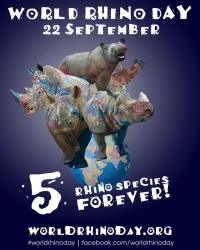 Rhino losses could impact lucrative tourism industry