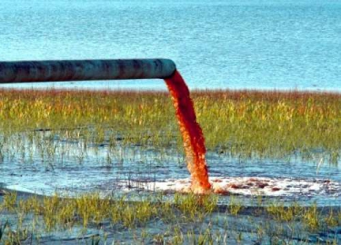 Environmental crimes the focus of new conference