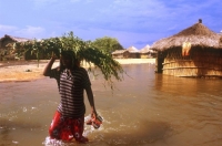 Mozambique: Storms' Death Toll Rises to 40