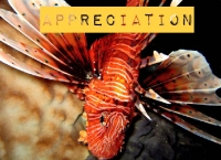 Aspiring nature photographers wanted