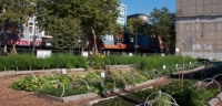 Urban farming empowers Canada’s poorest area code