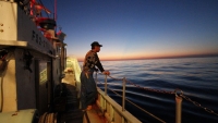 Fukushima radiation devastates fishing industry