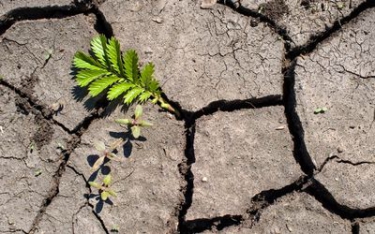 Denialists’ disdain for science a vital human rights issue