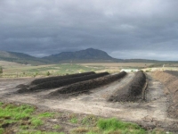 Composting offsets carbon footprints